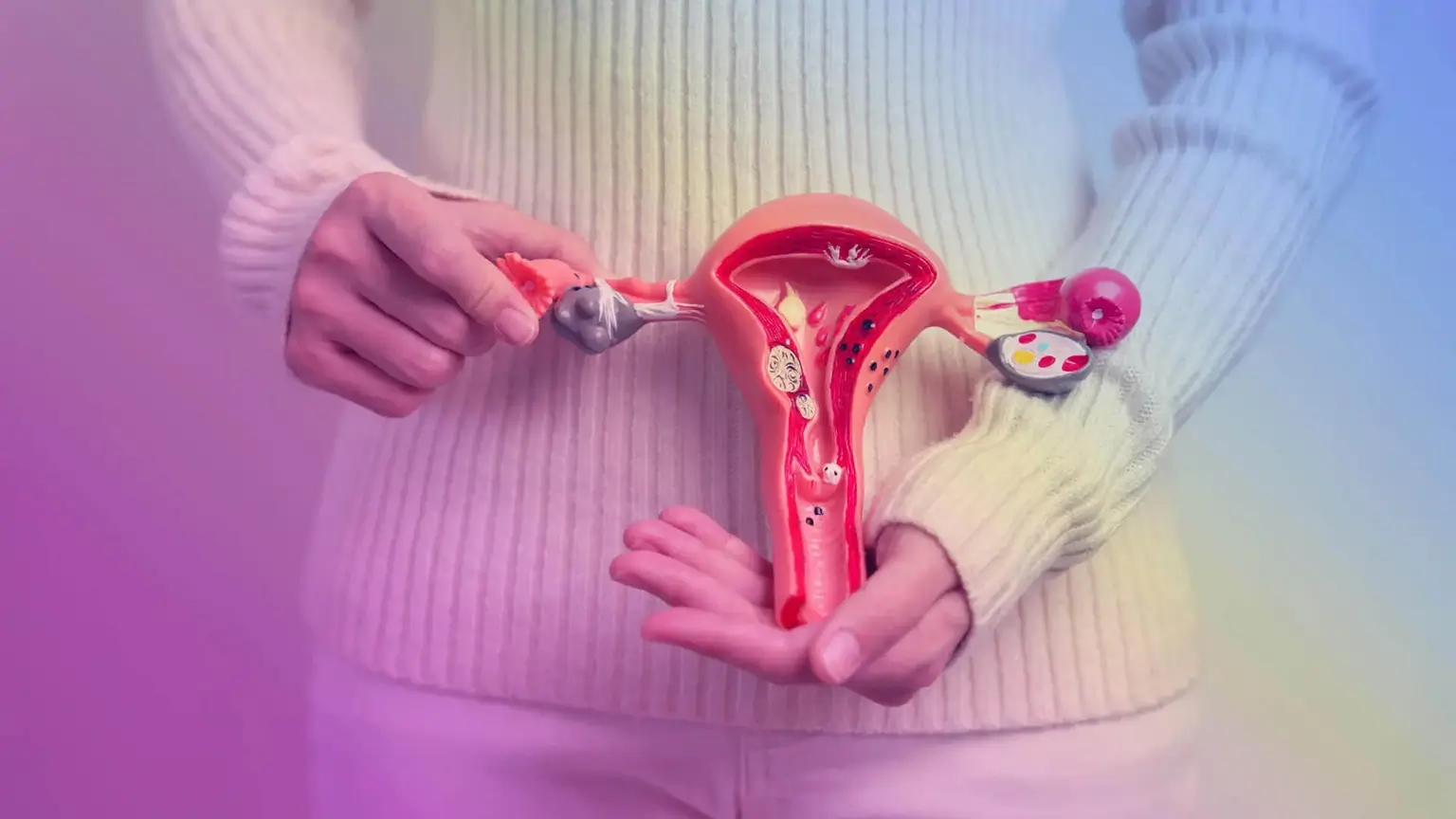 A woman holding a model of the female reproductive system